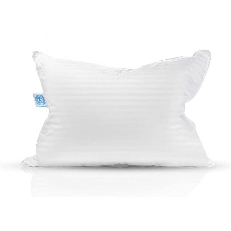 Luxury Cotton-Encased Down Blend Hypoallergenic King Pillow