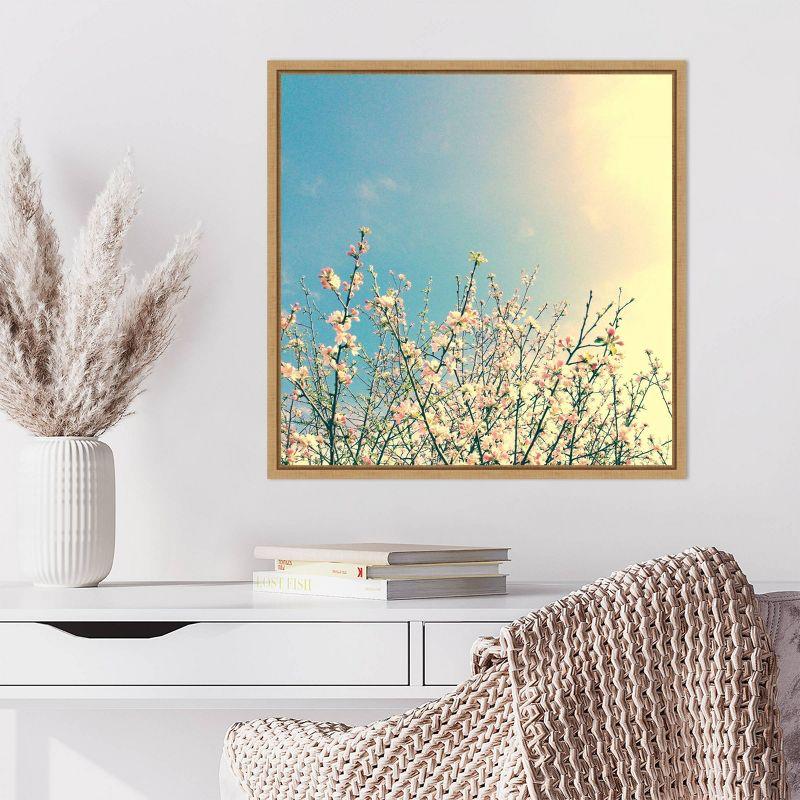Amanti Art 22"x22" Springing Pink I by Olivia Joy Framed Canvas Wall Art Print