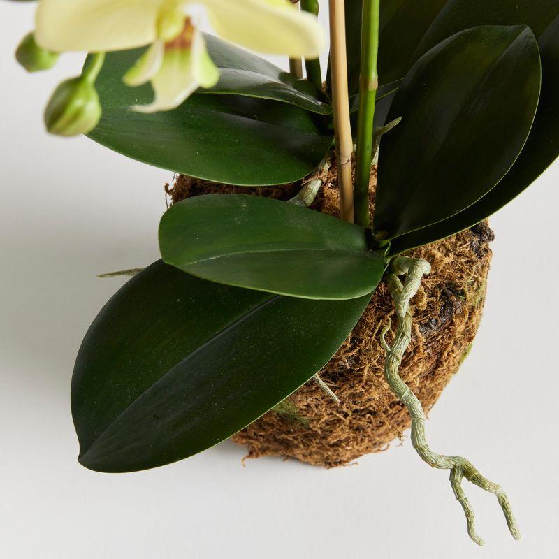 Plum & Post Phalaenopsis Orchid Artificial Plant Drop-In