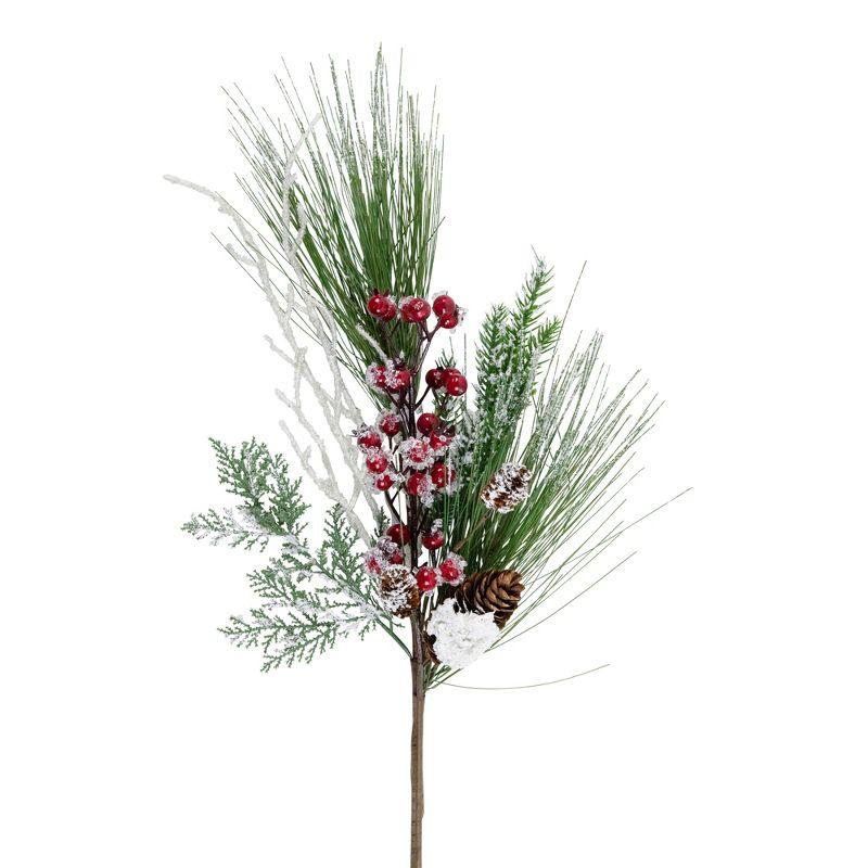 Northlight Frosted Mixed Pine and Berries Artificial Christmas Spray - 26"