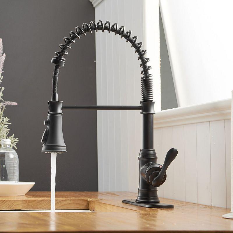 Matte Black Pull-Down Kitchen Faucet with Pull-out Spray