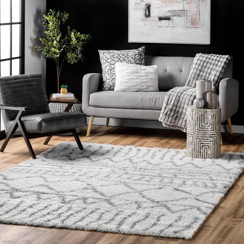 3'3"x5' Renata Moroccan Shag Area Rug Gray - nuLOOM