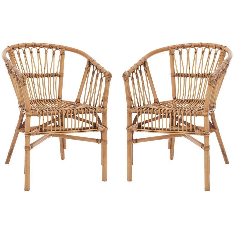 Adriana Rattan Accent Chair - Set of 2 - ACH6505 - Honey Brown Wash - Safavieh