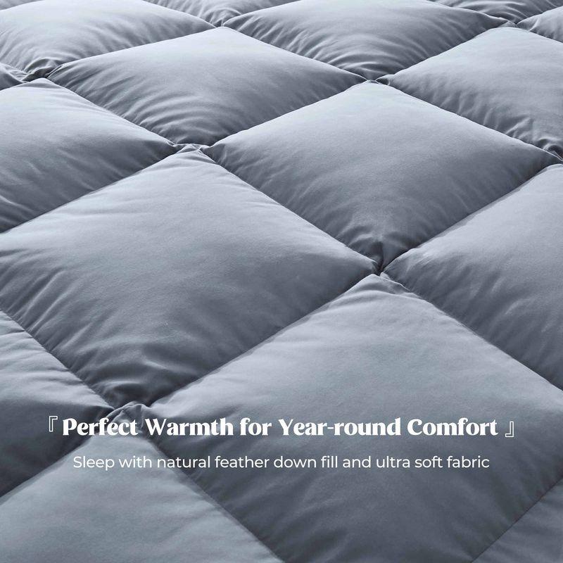 600 Fill Power All Season Down Comforter/Duvet Insert