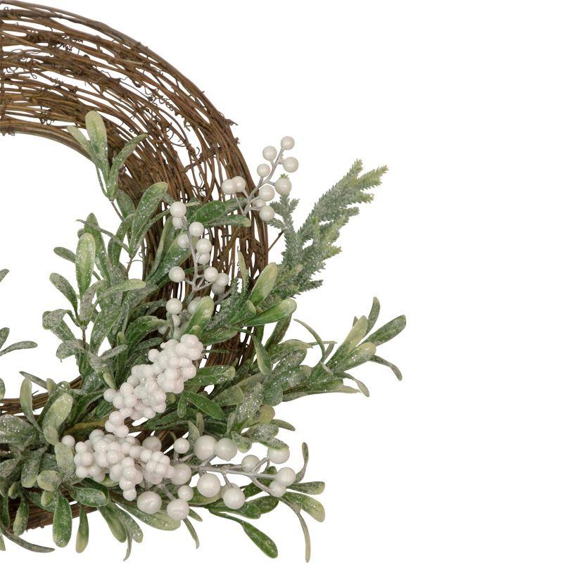 Northlight Artificial Christmas Twig Wreath with Frosted Foliage and Berries, 24-Inch, Unlit