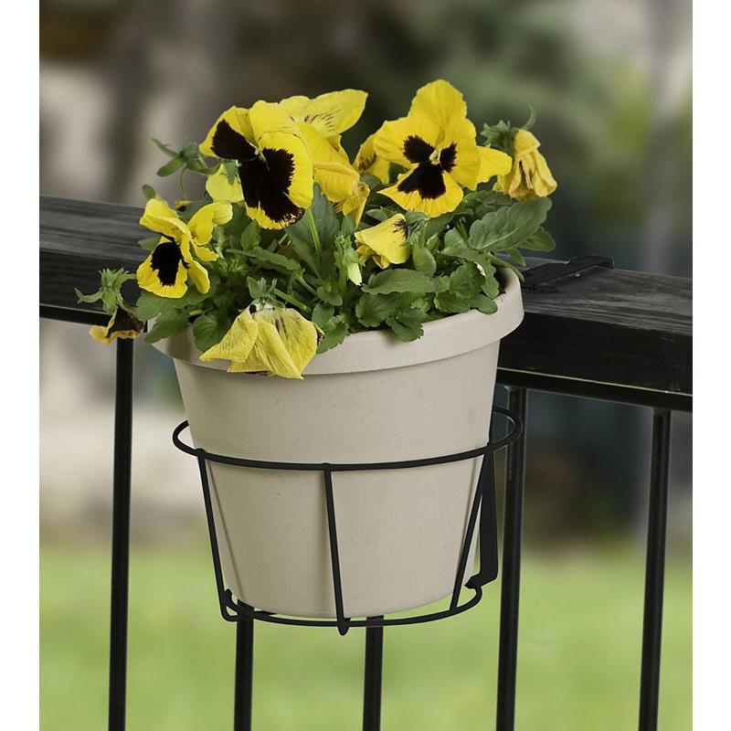 Panacea Black Steel 2 in. H Round Extender Hook 1 pk