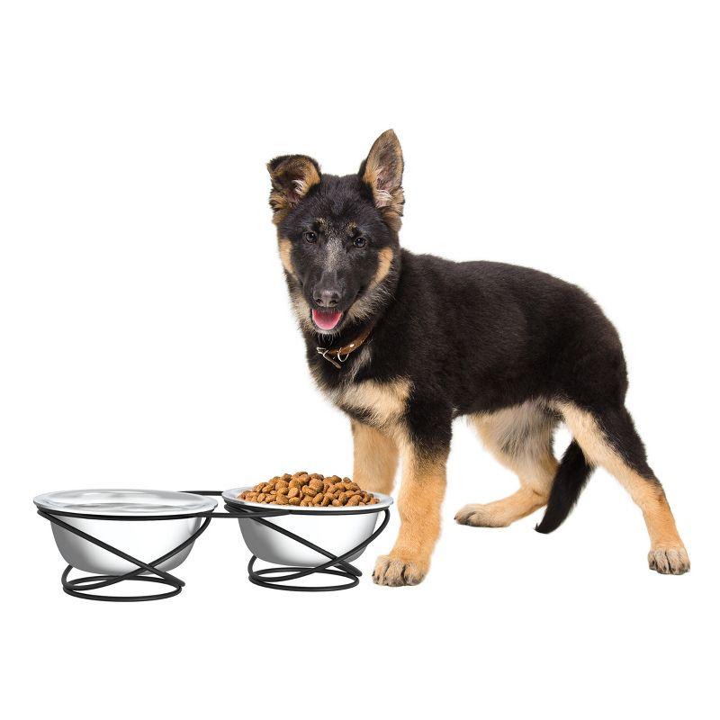 Stainless Steel Elevated Pet Bowls with Iron Stand