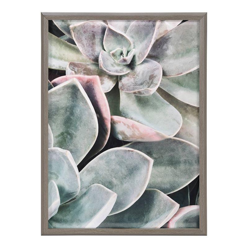 18" x 24" Blake Botanical Succulent Plants 1 by Creative Bunch Studio: Modern Wall Decor Art - Kate & Laurel All Things Decor