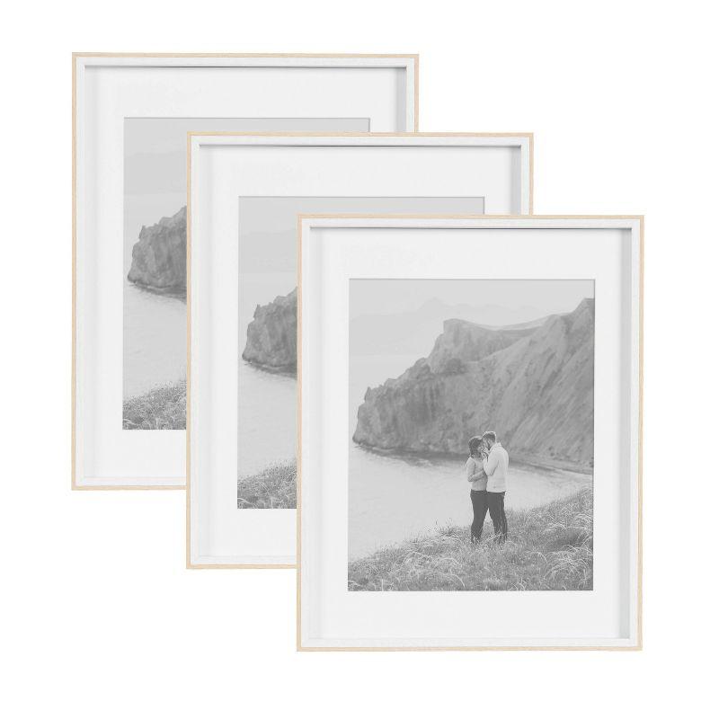 White and Natural Wood 14x18 Picture Frame Set of 3