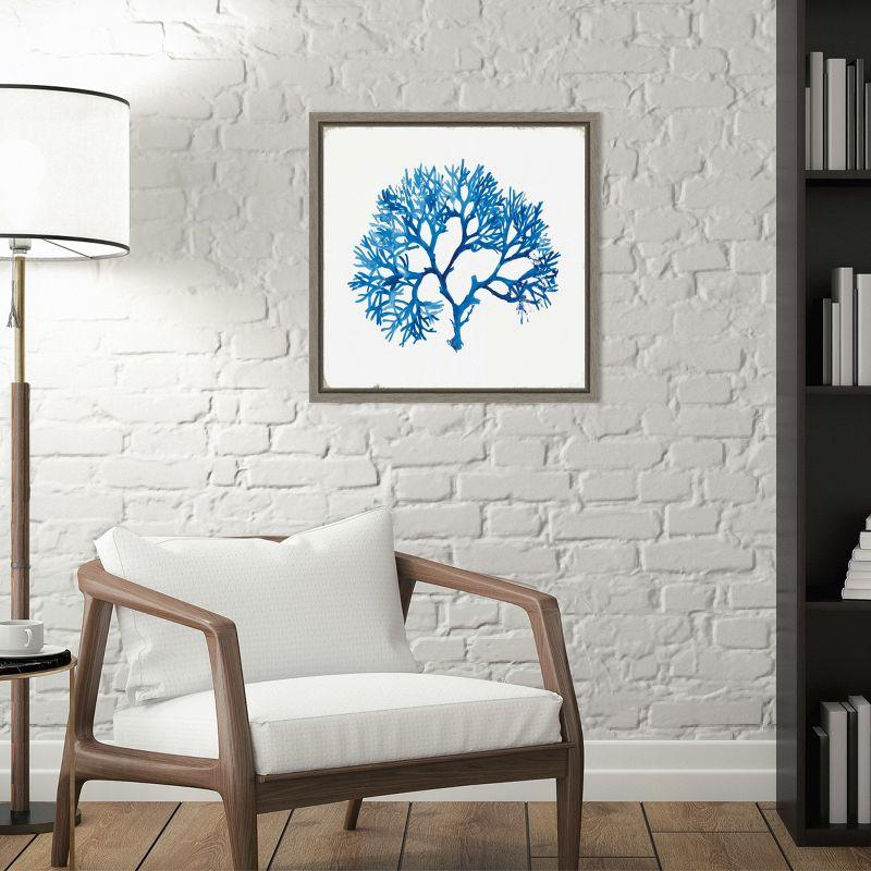 Amanti Art Blue Coral I by Aimee Wilson Canvas Wall Art Print Framed 16 x 16-in.