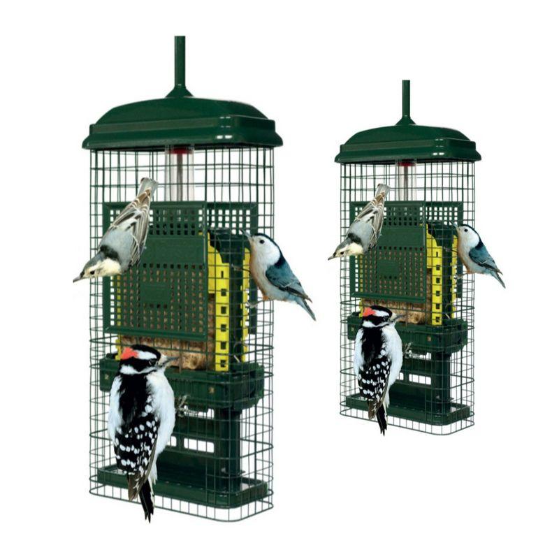 Brome Bird Care Squirrel Buster Truly Squirrel-Proof Suet Feeder (Green, 2-Pack)