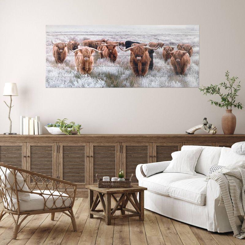 Highland Herd Photographic Print on Planked Fir Wood Wall Art