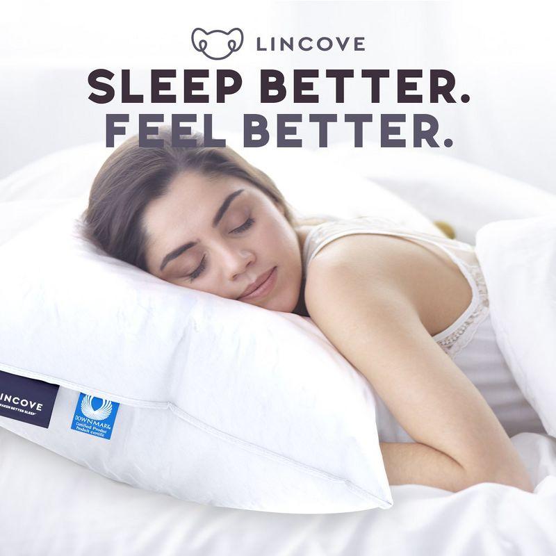 Lincove Signature 100% Canadian Down Luxury Sleeping Pillow - 800 Fill Power, 500 Thread Count Cotton Shell, Queen - Medium, 1 Pack