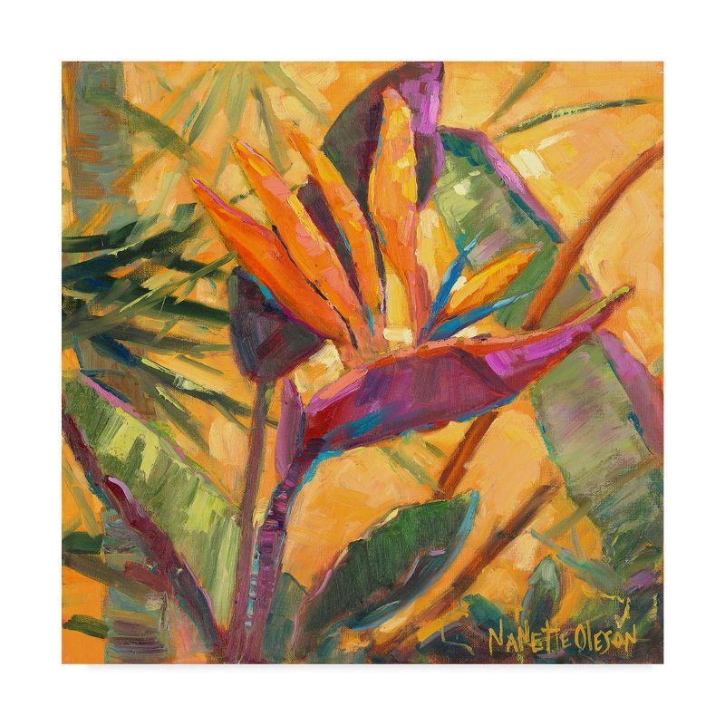 18'' x 18'' Orange Tropical Flower Canvas Art