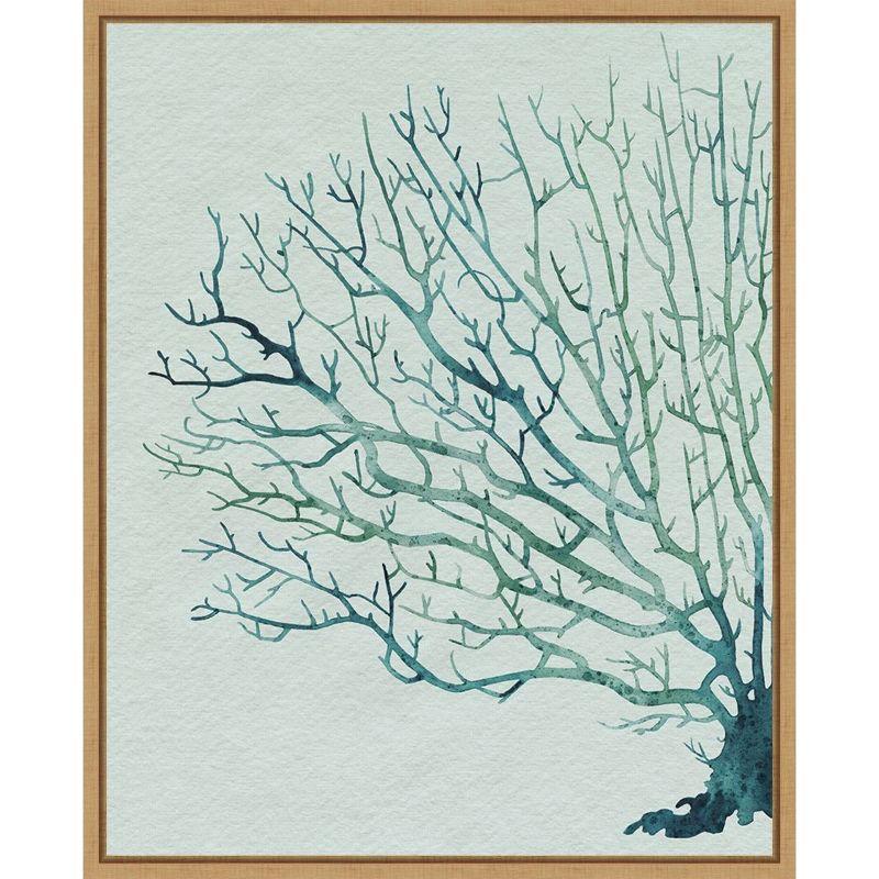 Amanti Art Seaglass Shadow II by Grace Popp Framed Wall Art Print