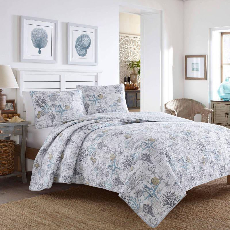 Coastal Breeze Gray King Cotton Quilt Set with Reversible Design