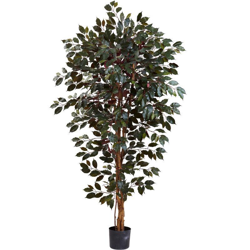 6' Green Silk Capensia Ficus Tree with Plastic Pot