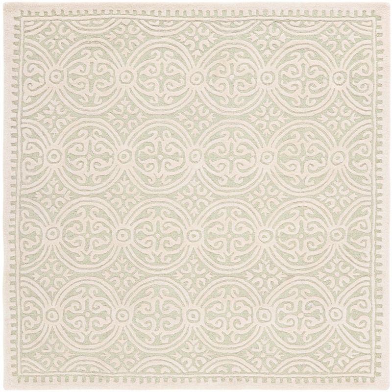 Cambridge CAM123 Hand Tufted Area Rug  - Safavieh