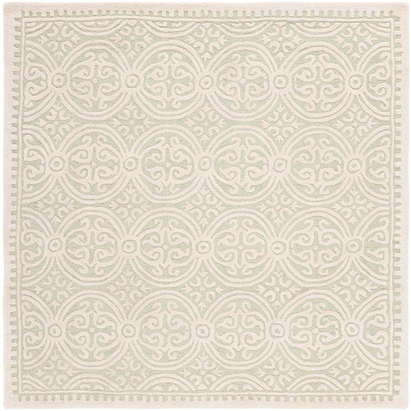 Cambridge CAM123 Hand Tufted Area Rug  - Safavieh