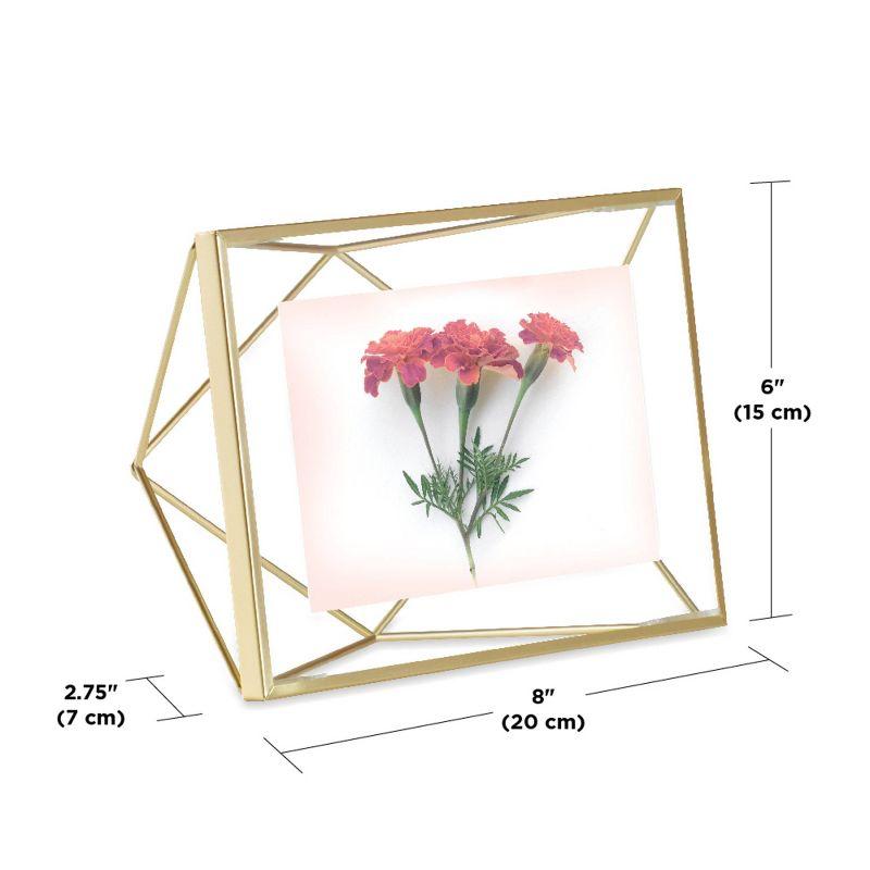 Prisma Metal Floater Picture Frame