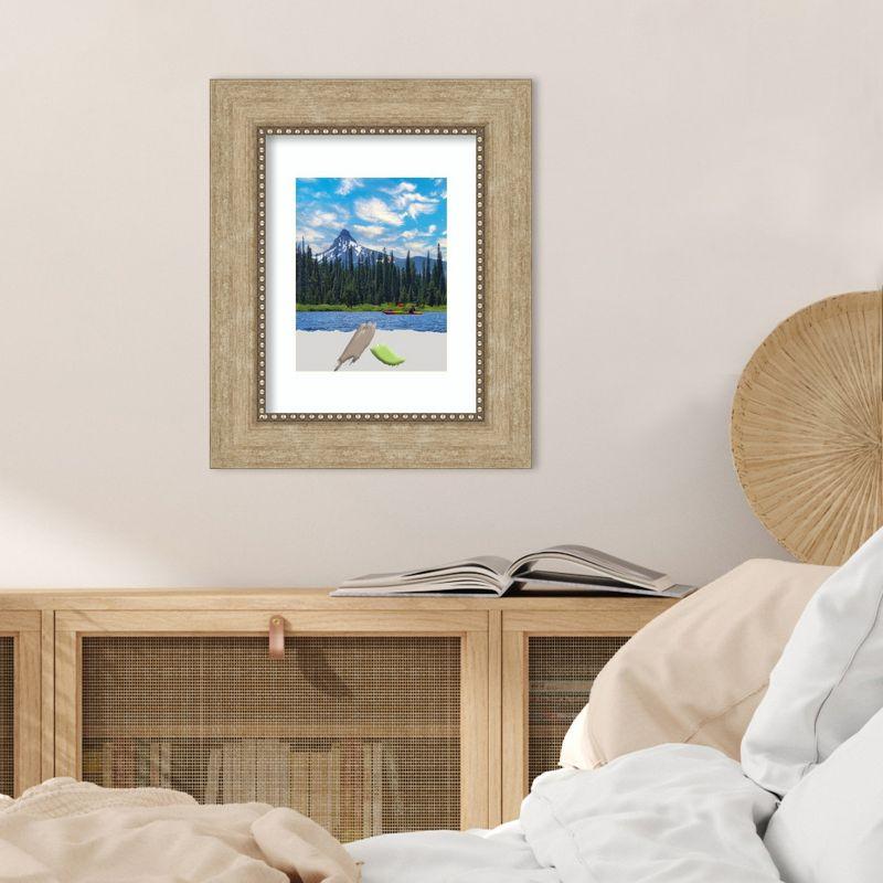 Amanti Art Astor Champagne Picture Frames