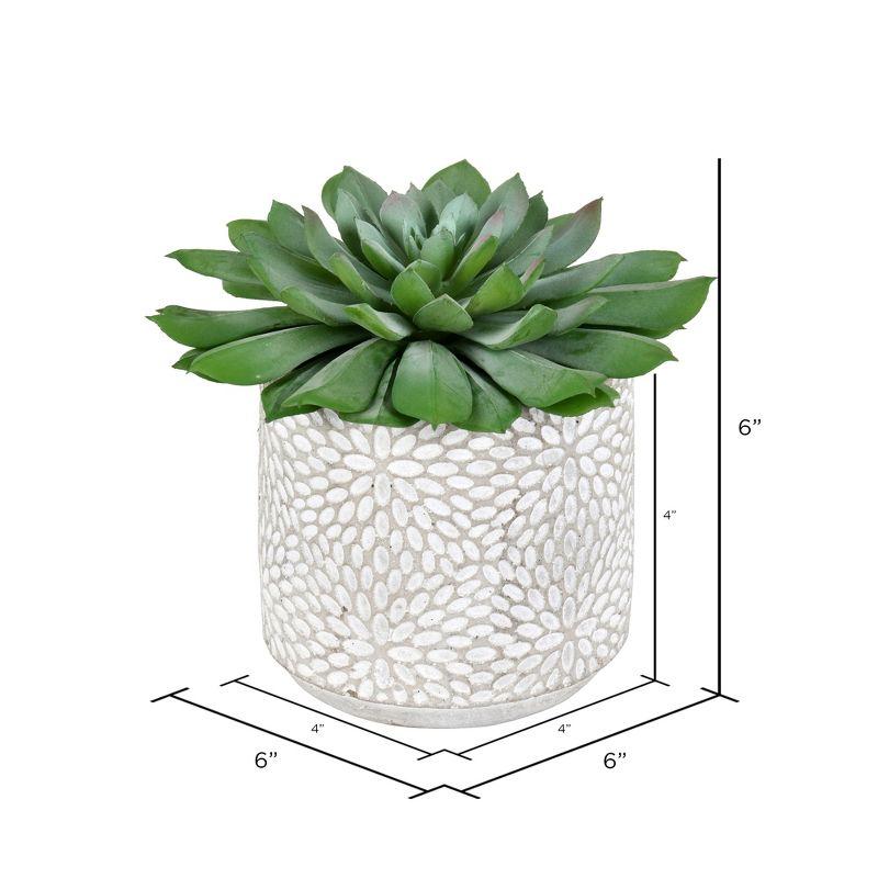 Vickerman 6" Artificial Green Potted Succulent, Pack of 2