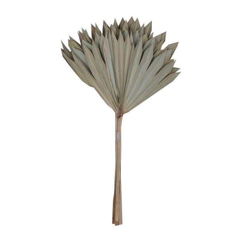 Vickerman Natural Botanicals 20" Natural Palm Sun Stem. Includes 12 Pieces per Bunch.