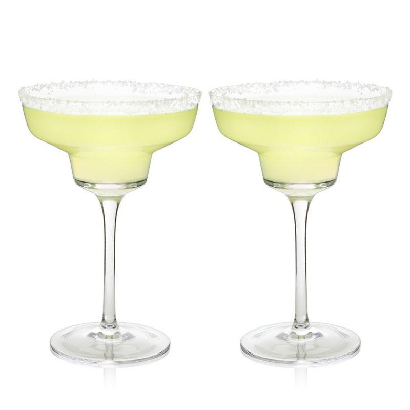 Viski Raye Angled Stemmed Margarita Glasses Set of 2 - Premium Crystal Clear Margarita Cocktail Glasses Drink Gift Set - 12oz