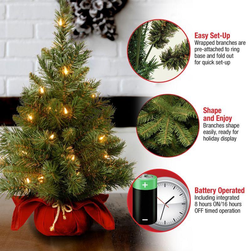 2' Prelit Majestic Spruce Artificial Christmas Tree in Burgundy Cloth Bag Warm White Lights - National Tree Company