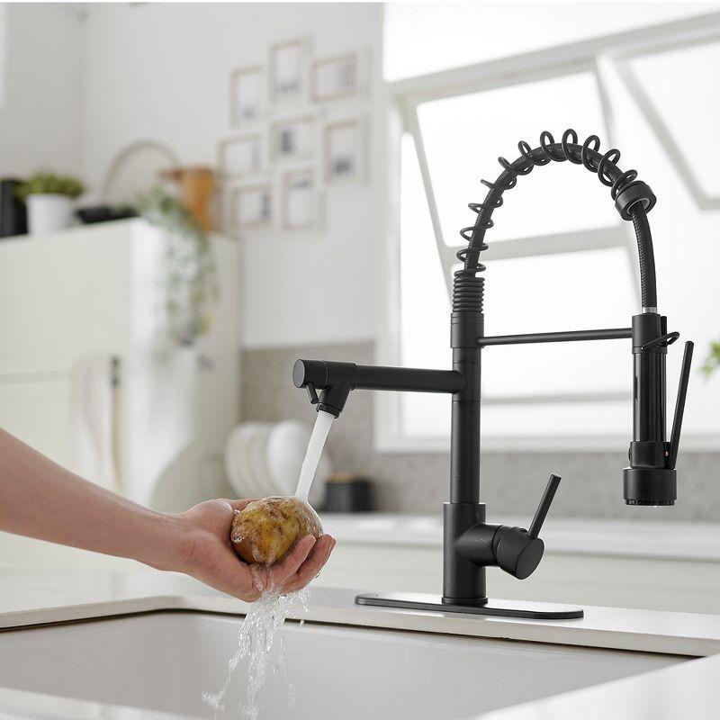 Pull Down Single Handle Kitchen Faucet with Accessories