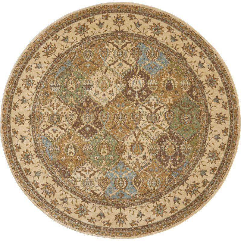 Nourison Modesto Traditional Indoor Area Rug