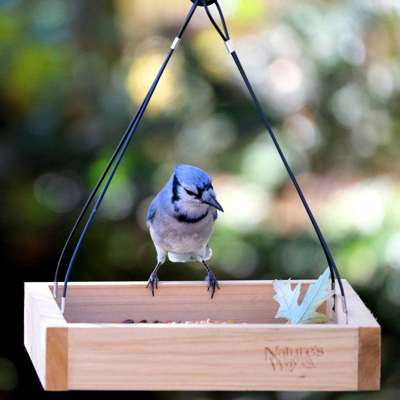 Nature's Way Cedar Tray Bird Feeder: Weather-Resistant Wood, No Assembly, 12x12 Hanging Design