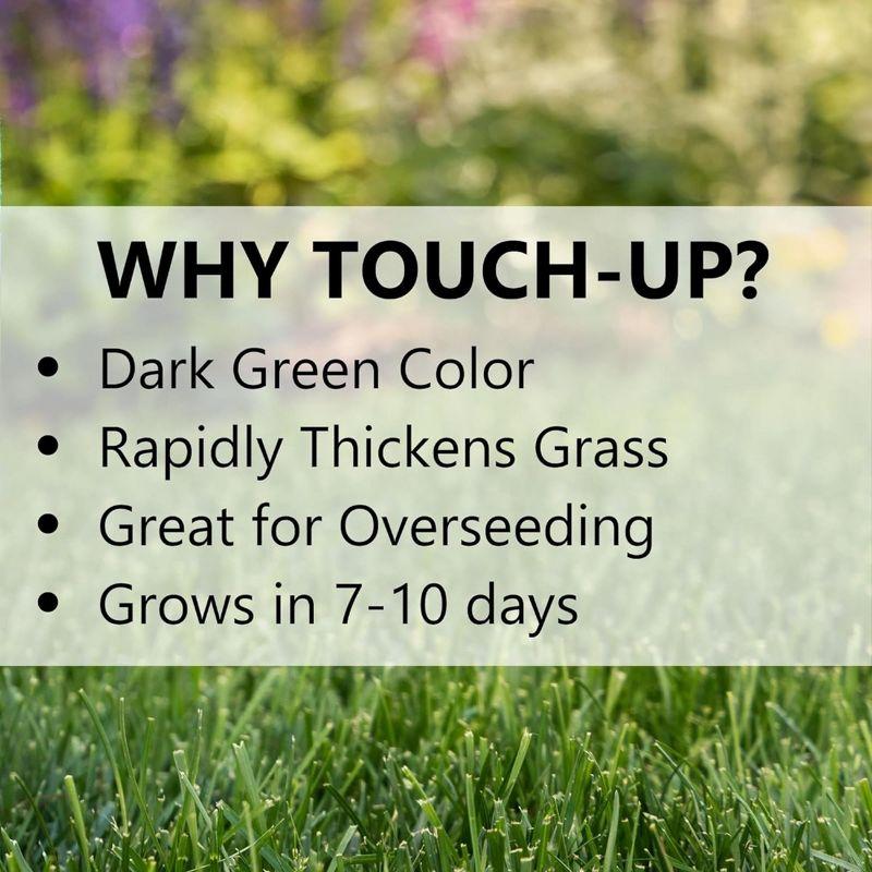 Jonathan Green Touch-Up TRI-RYE Perennial Ryegrass Blend, 25lb