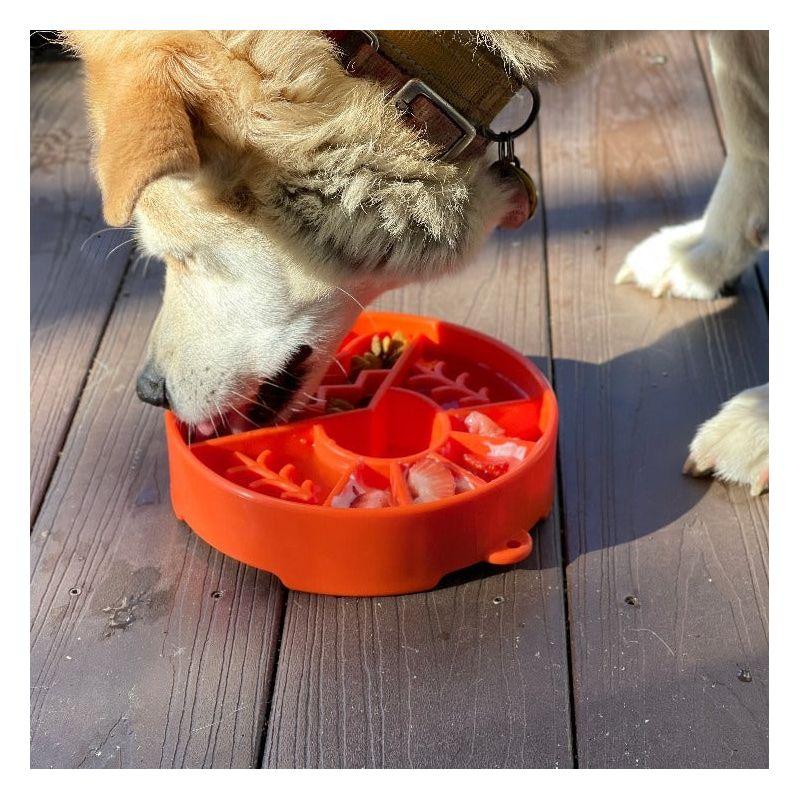 Green Outdoor Design Slow Feeder Dog Bowl