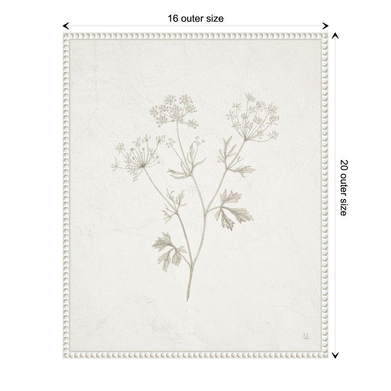 Amanti Art Plants from the Meadow IV by Sarah Adams Canvas Wall Art Print Framed 16 x 20-in.