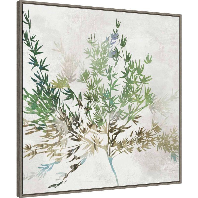 30" x 30" Olive Branch by Asia Jensen Framed Canvas Wall Art Print - Amanti Art