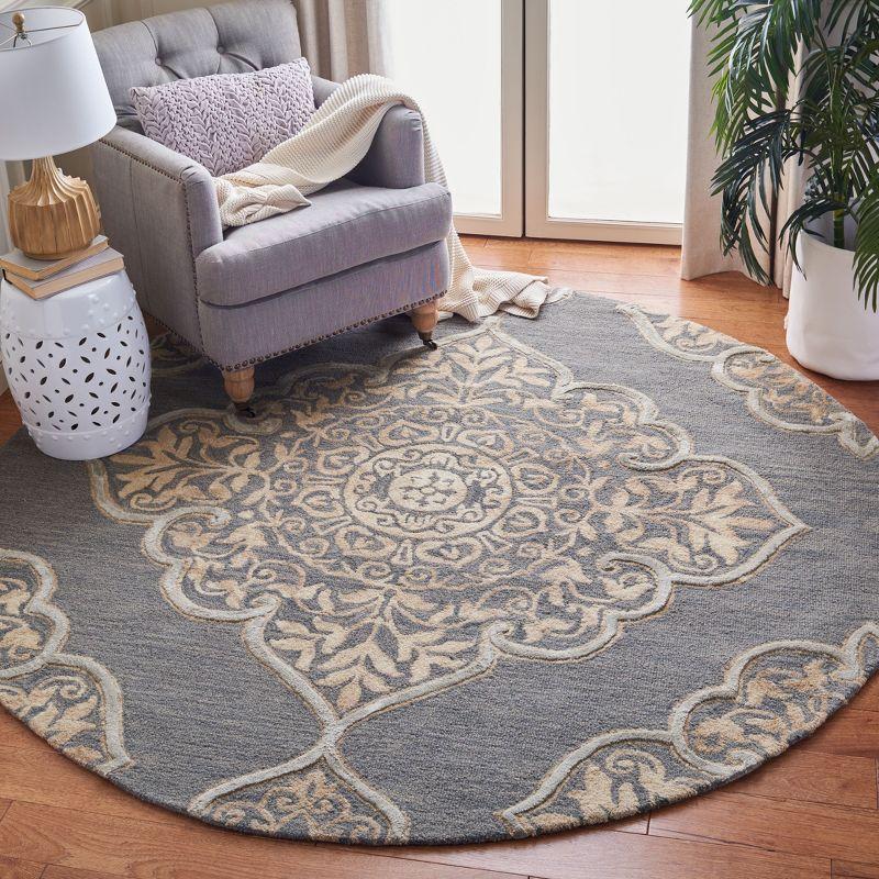 Dip Dye DDY510 Hand Tufted Indoor Area Rug - Slate/Beige - 7' Round - Safavieh