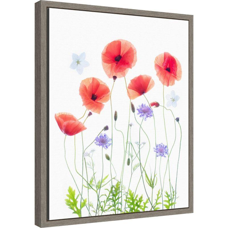 Amanti Art Poppy Garden by Sharon Williams Canvas Wall Art Print Framed 16 x 20-in.