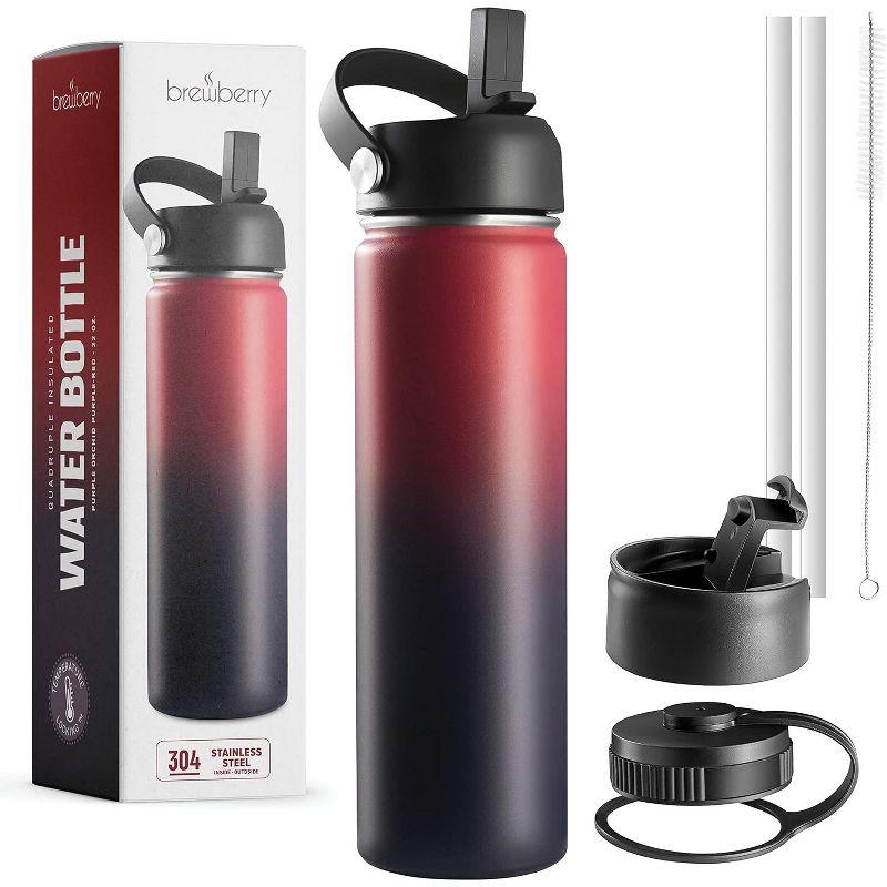 Brewberry Insulated Water Bottle and Travel Mug for Hot and Cold Beverages With Straw
