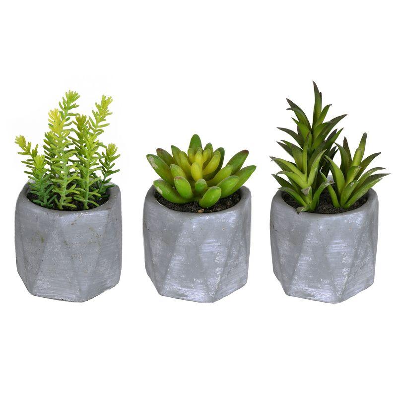 Vickerman 6" Artificial Potted Succulent Arrangements, Set of 3.