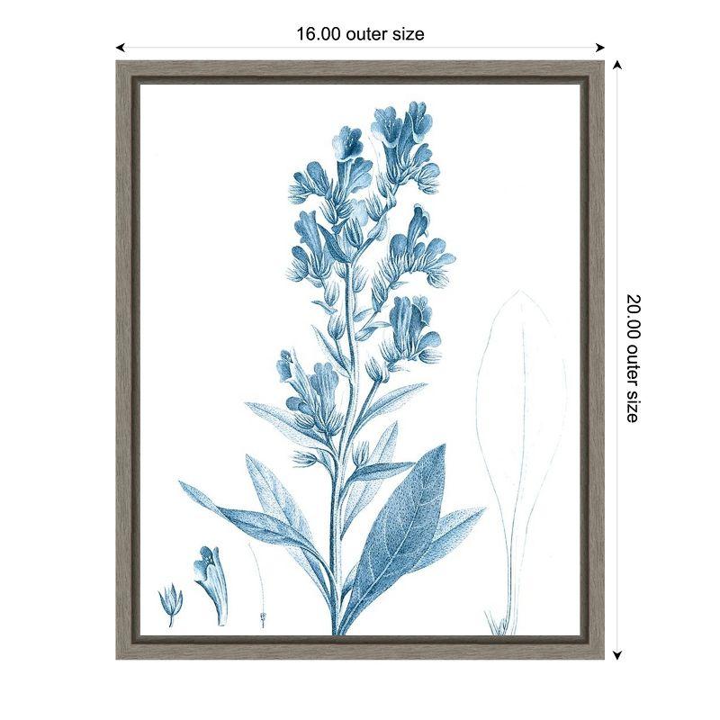 Amanti Art Antique Botanical in Blue III by Vision Studio Canvas Wall Art Print Framed 16 x 20-in.