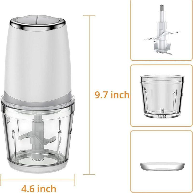 300W Mini Food Processor Electric Food Chopper 2 Speed with 2.5 Cup Glass Bowl