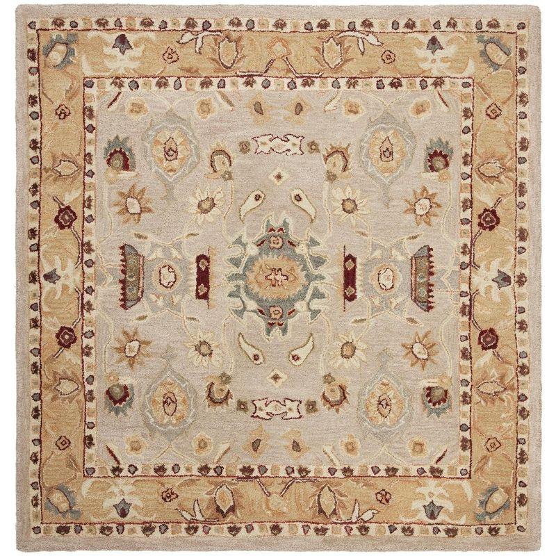 Anatolia AN543 Hand Tufted Area Rug  - Safavieh