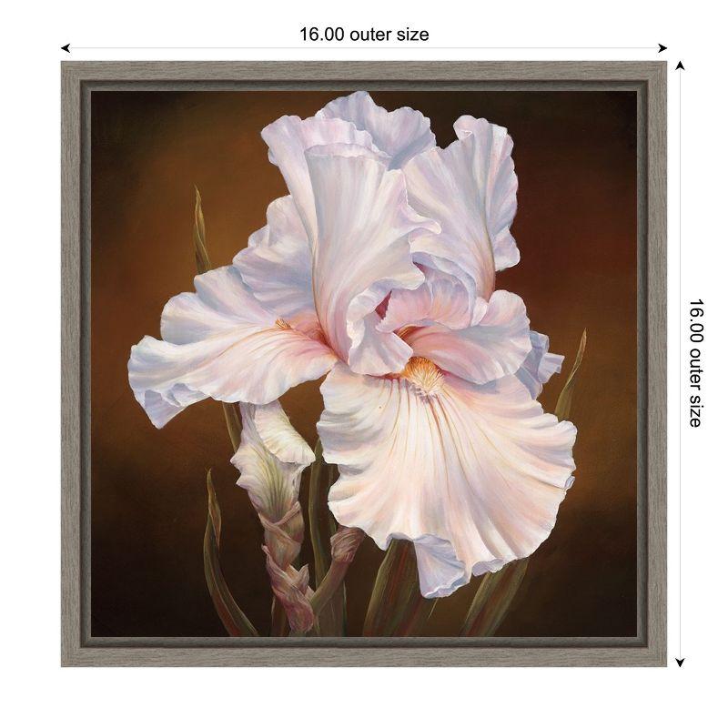 Amanti Art White Iris II by Marianne Broome Canvas Wall Art Print Framed 16 x 16-in.