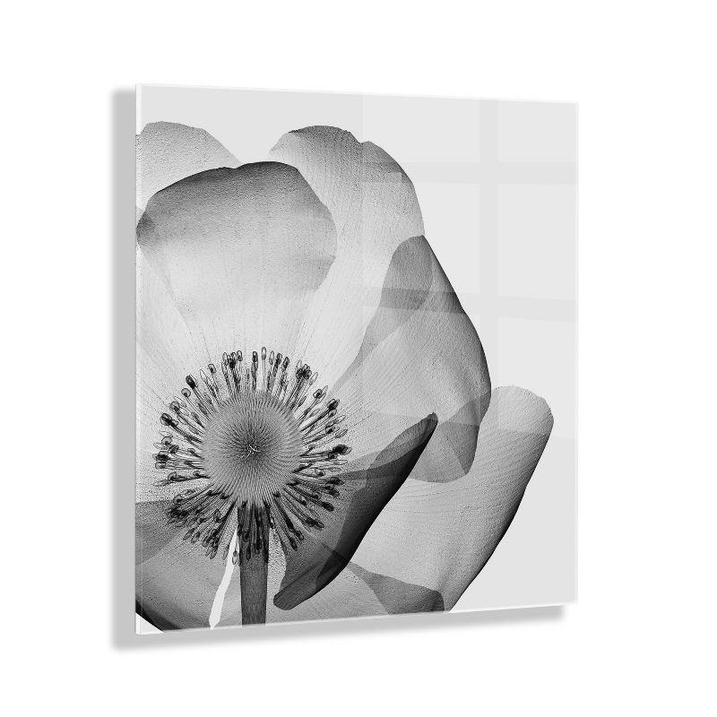 Black and White Poppy Floral Acrylic Wall Art, 27" x 27"