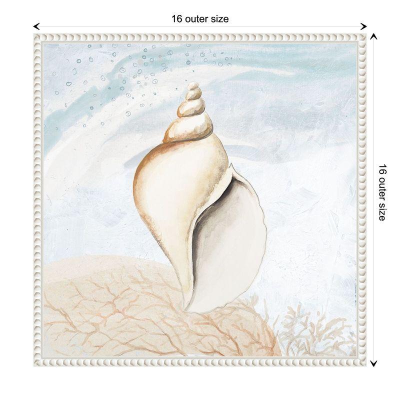 Amanti Art Ocean Oasis Tropical Seashell I by Patricia Pinto Canvas Wall Art Print Framed 16 x 16-in.