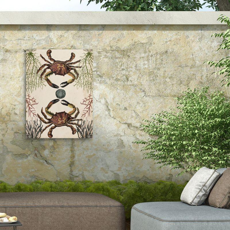 Trademark Fine Art - Naomi Mccavitt 'Antiquarian Menagerie Crab' Outdoor Canvas - 24x32