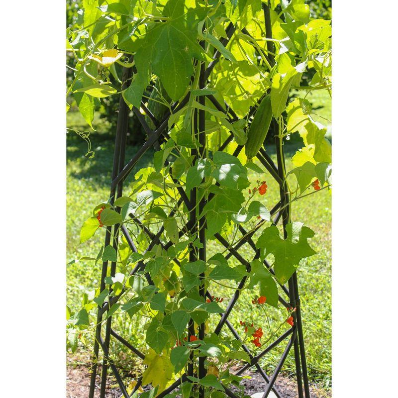 Enchanted Forest Graphite Steel Lattice Obelisk Trellis