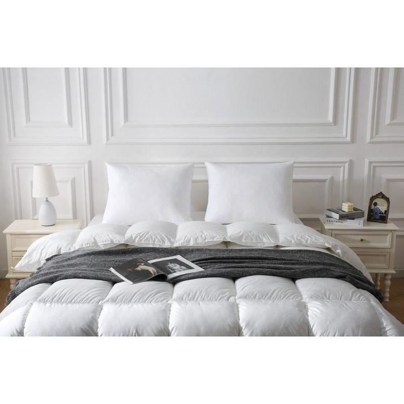 Morningstar Pillow - Super Standard (20 x 26 x 1.5")