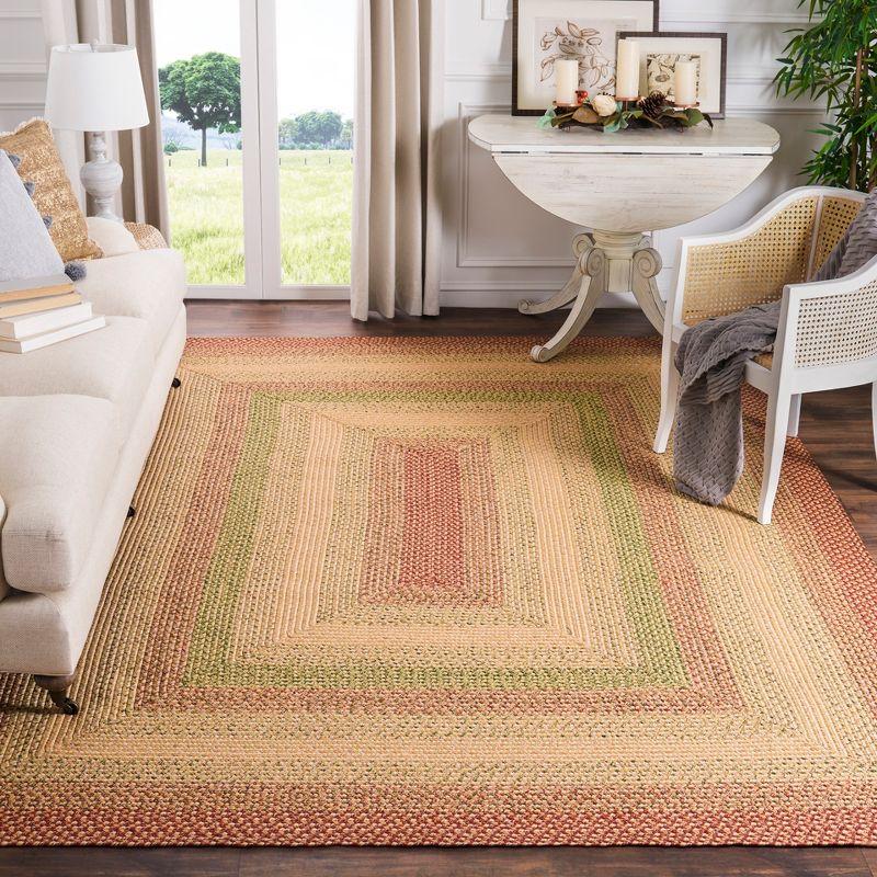 Braided BRD303 Hand Woven Area Rug  - Safavieh